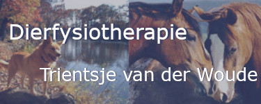 dierfysiotherapievdwoude.nl